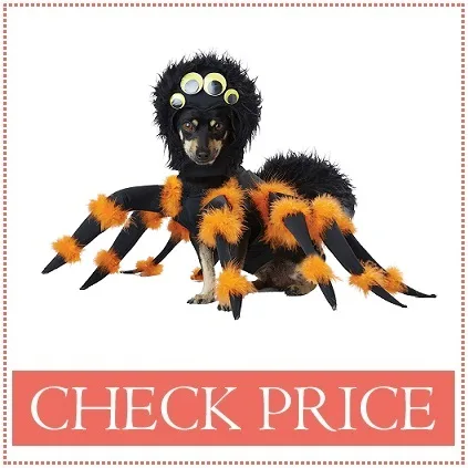 halloween dog spide costume