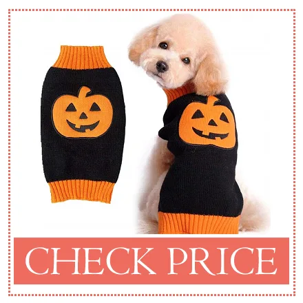 dog halloween dresses