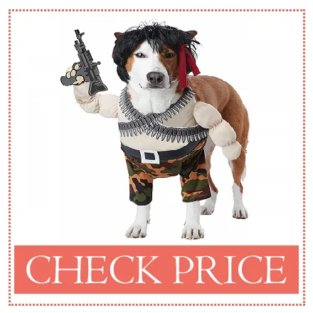 medium sized dog halloween costumes