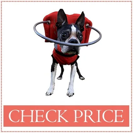 blind dog harness