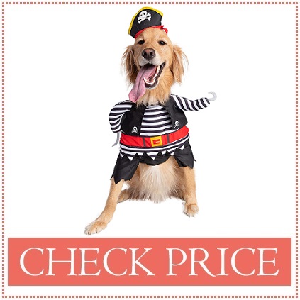 pirates of the caribbean costume for dogs