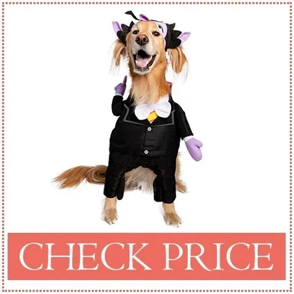 dog halloween costumes
