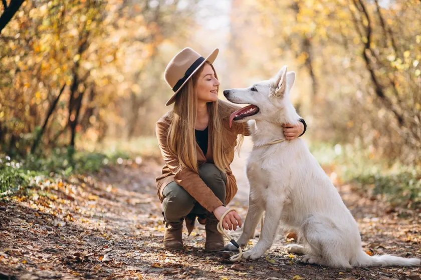 how to take care of dogs