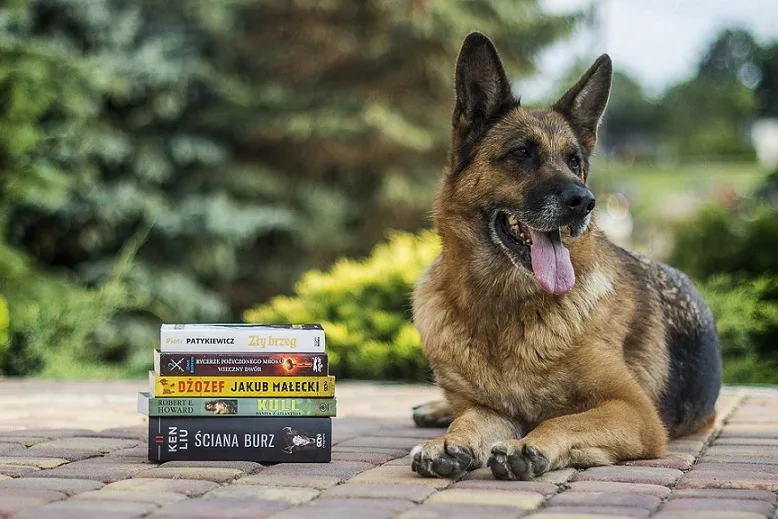 amazing dog laws