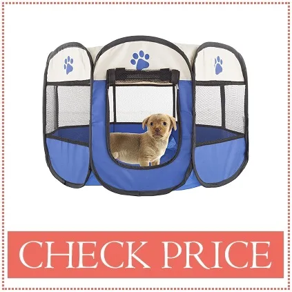 goldendoodle playpen