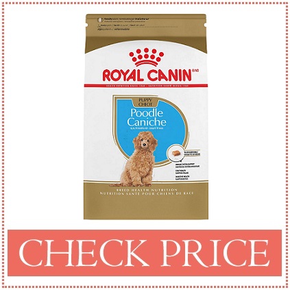 goldendoodle puppy food