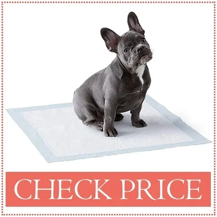 bernedoodle puppy pads amazon