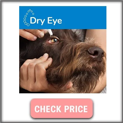 Artificial tear gel for dogs