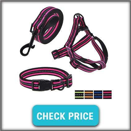 leash collar harness for dogs