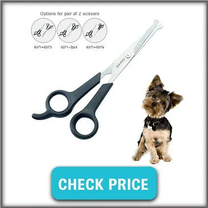 blunt ended scissors for dogs