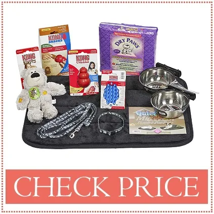 bernedoodle puppy starter kit amazon