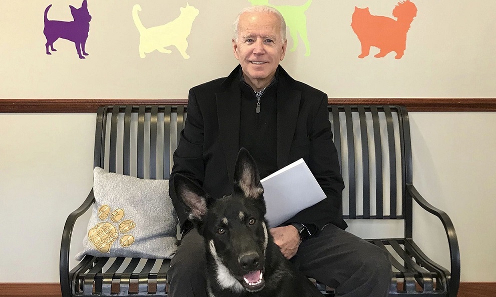 joe biden dogs major champ