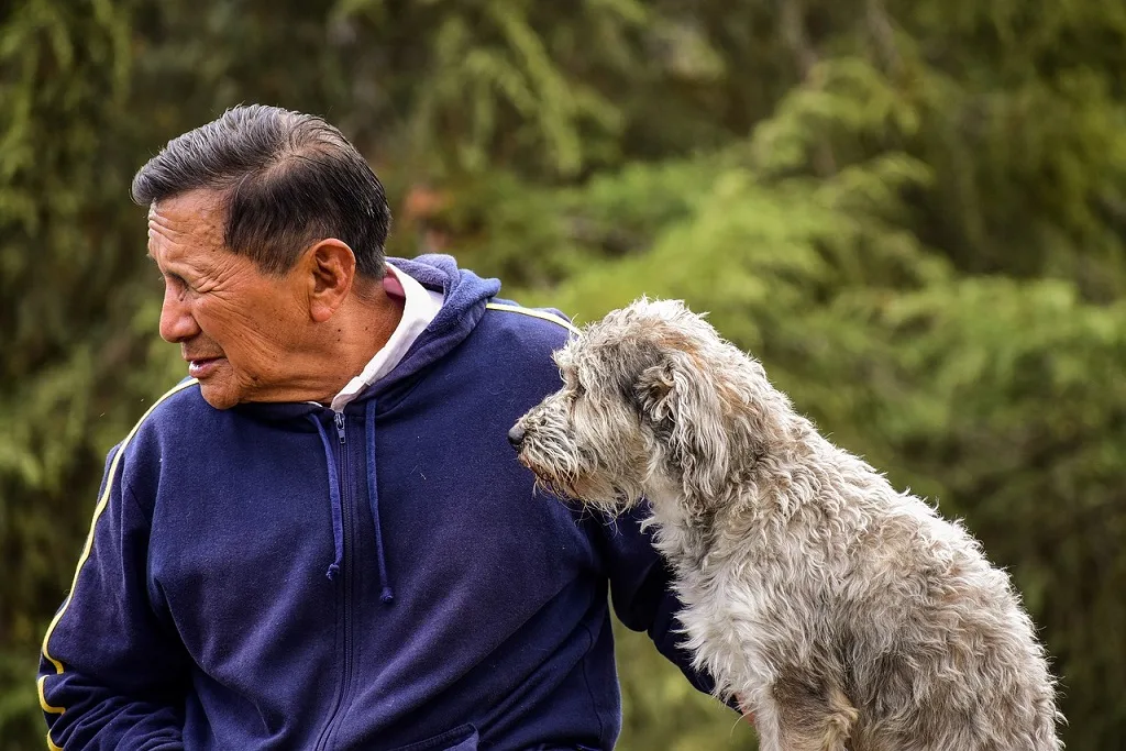 benefits of dogs for elders