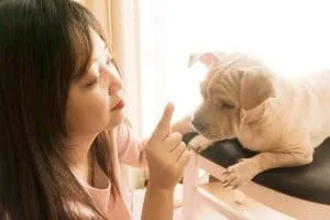 raising dog in pandemic