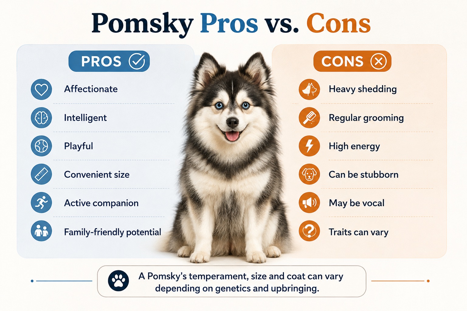 pomsky pros and cons