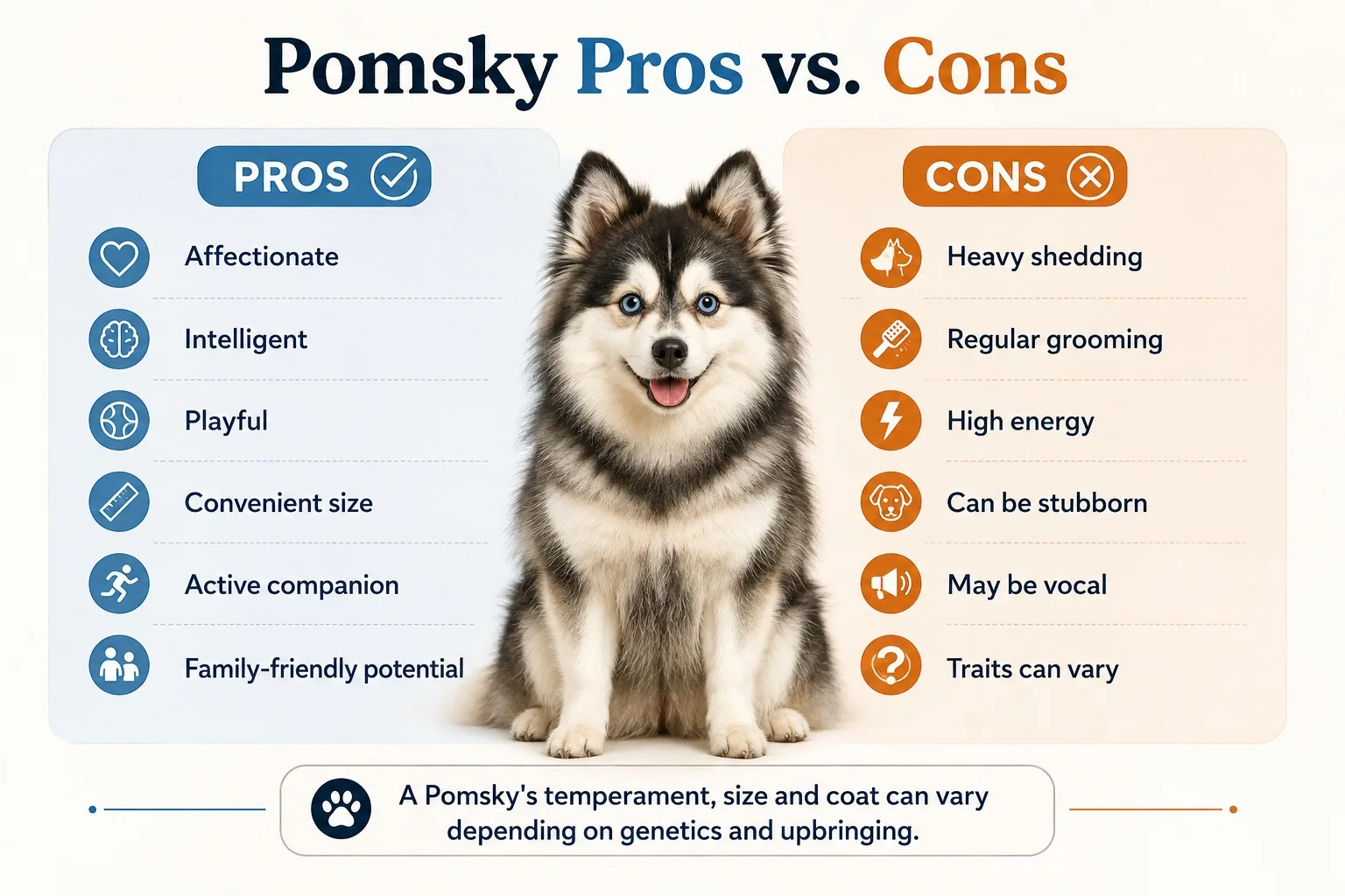 pomsky pros and cons
