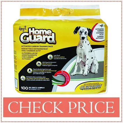 puppy training pads for bernedoodle dog
