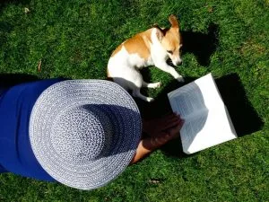 best dog breeds for students