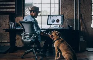dogs for college students