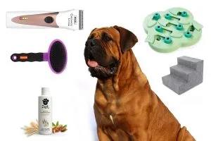 dog products on amazon prime day sale