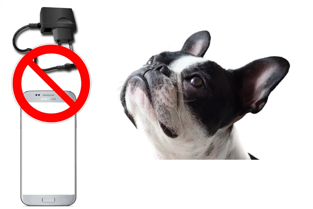 dog chew mobile