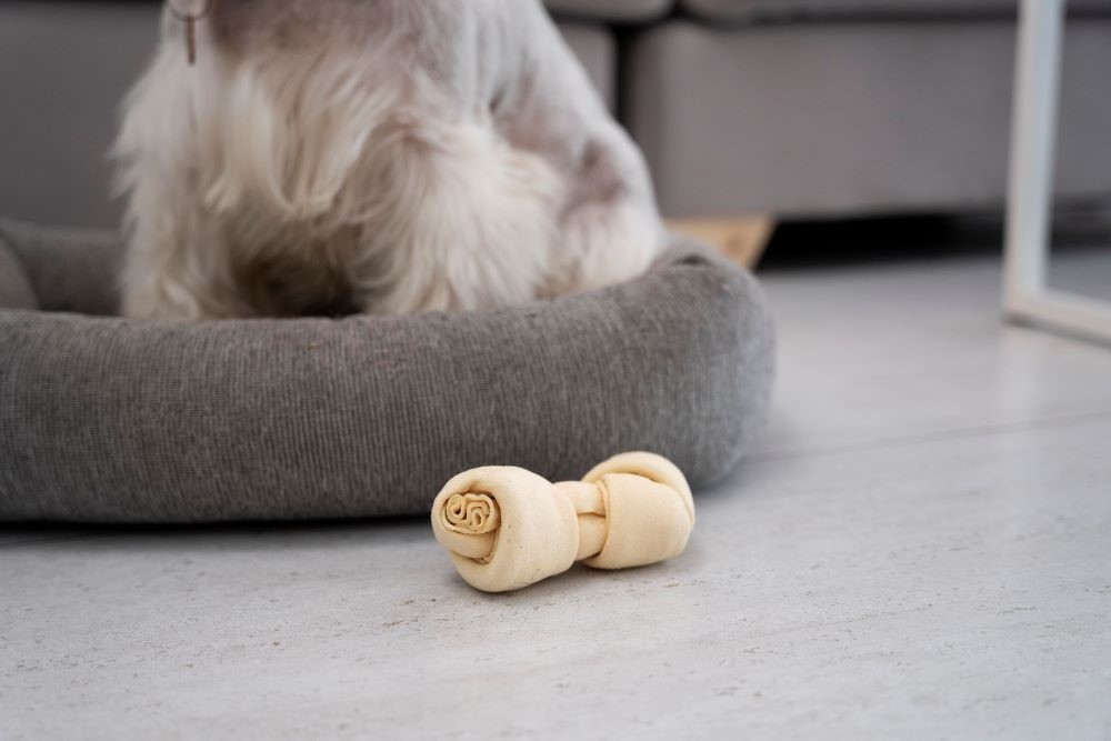 importance of dog bed