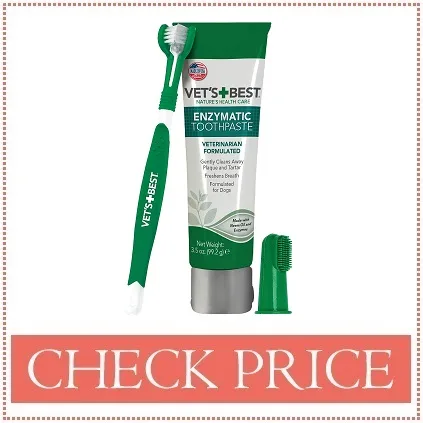 toothpaste for bernedoodles