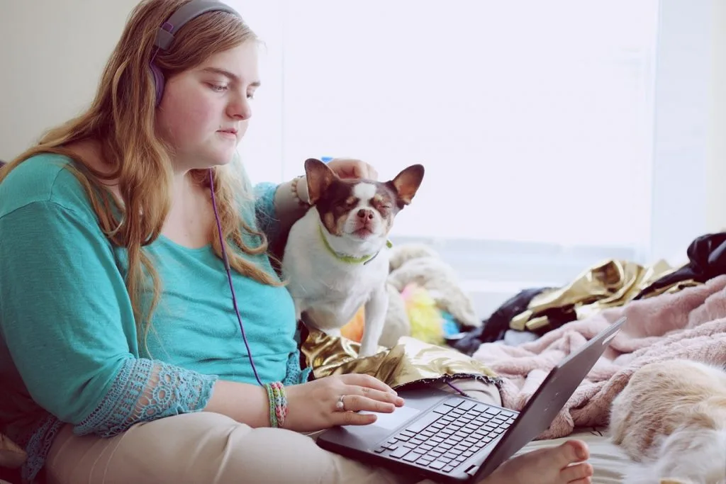 tips for caring for a dog