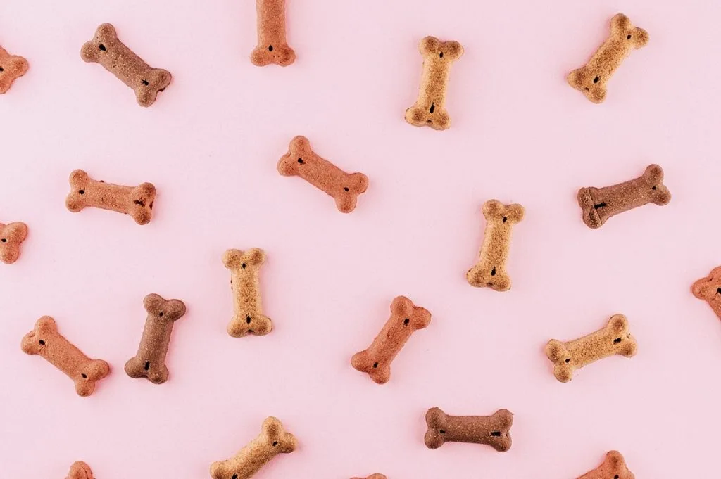 peanut biscuits for dogs