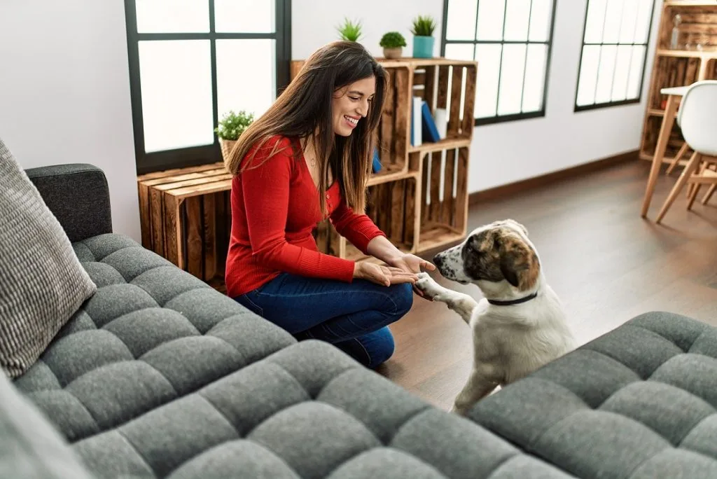 dog obedience training