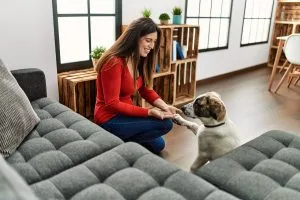 dog obedience training