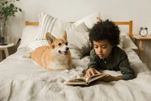 dog books
