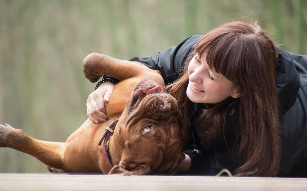 responsible pet adoption
