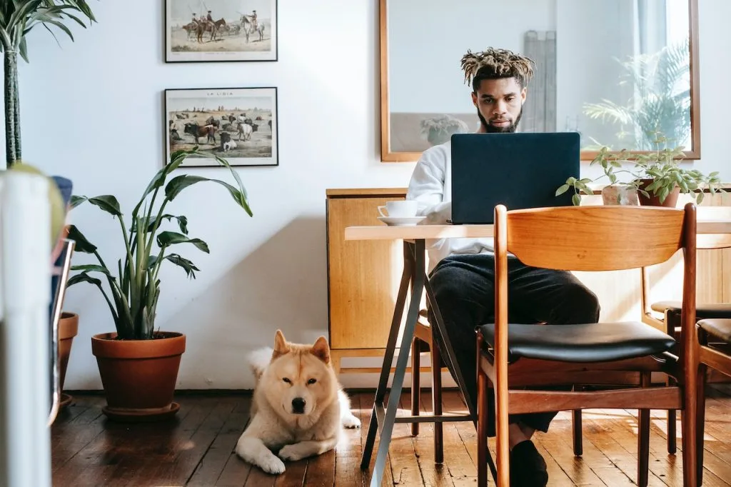 Assistance dogs in colleges