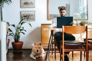 Assistance dogs in colleges