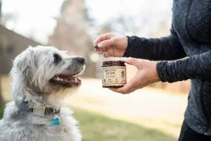 cbd dog treats