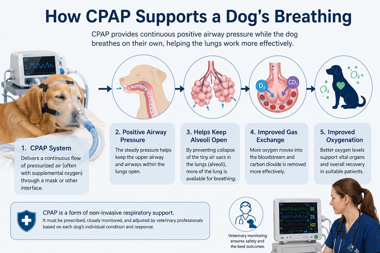 how cpap support dog's breathing