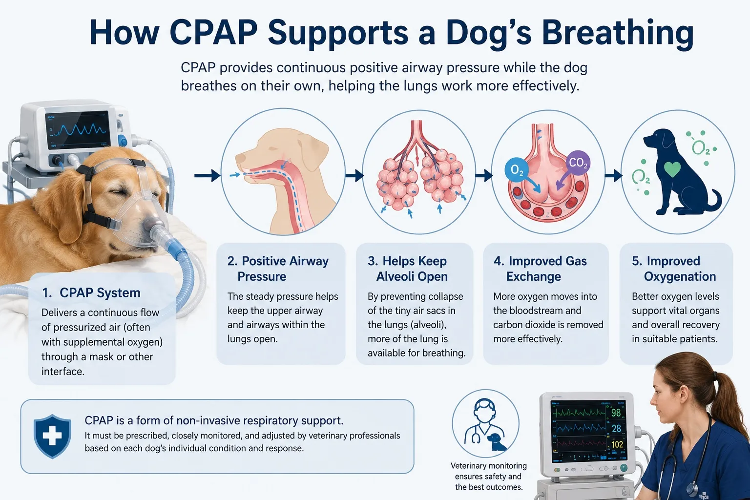 how cpap support dog's breathing