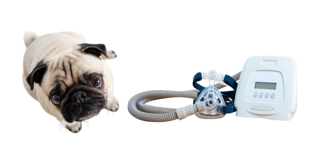 cpap machines for dogs