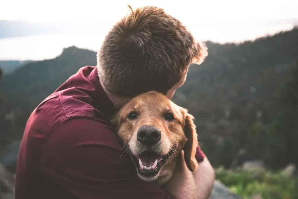 power of dog helpers