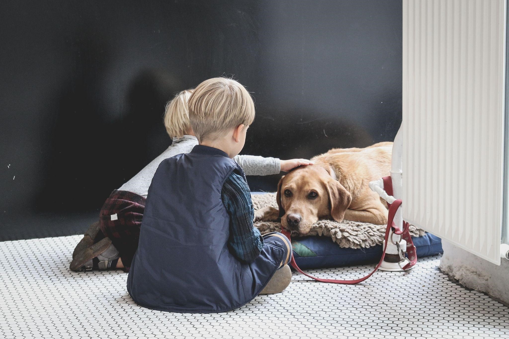 role of pets in child development