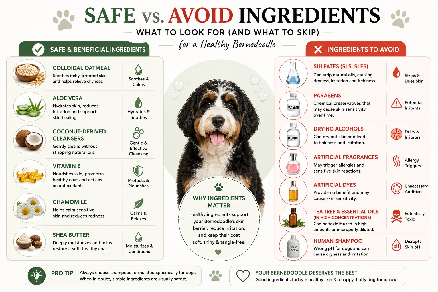 safe shampoos for bernedoodles