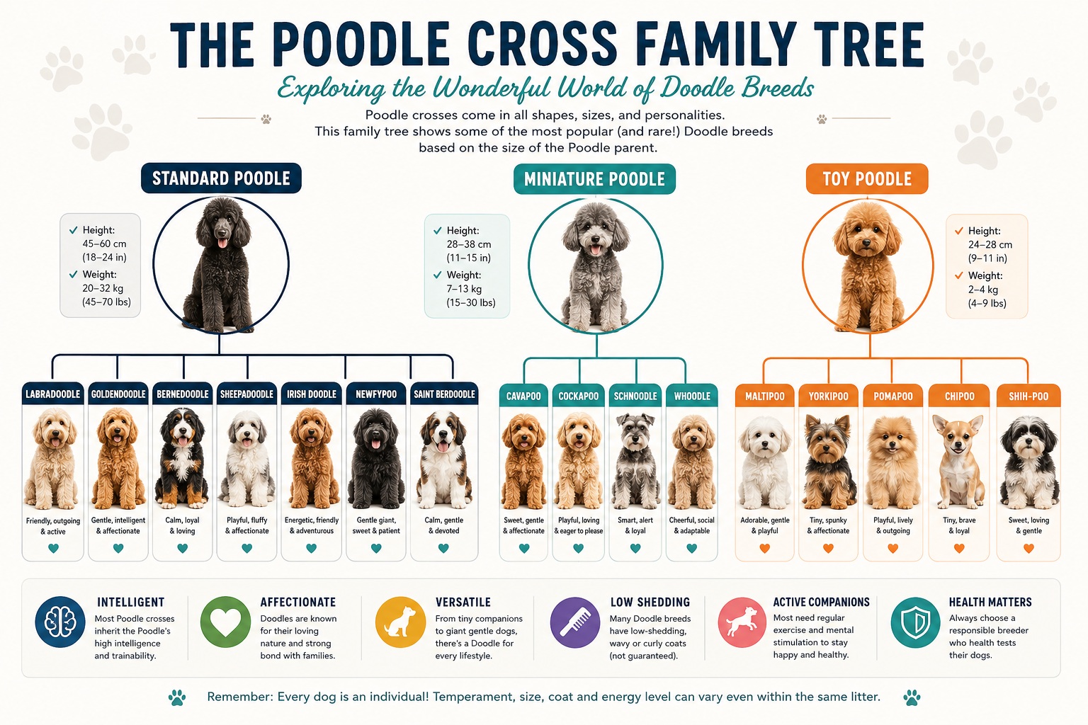 the poodle crosses