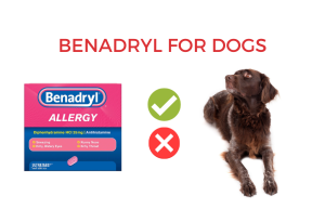 benadryl for dogs