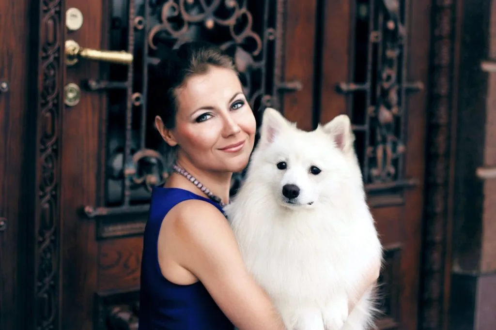 indian spitz