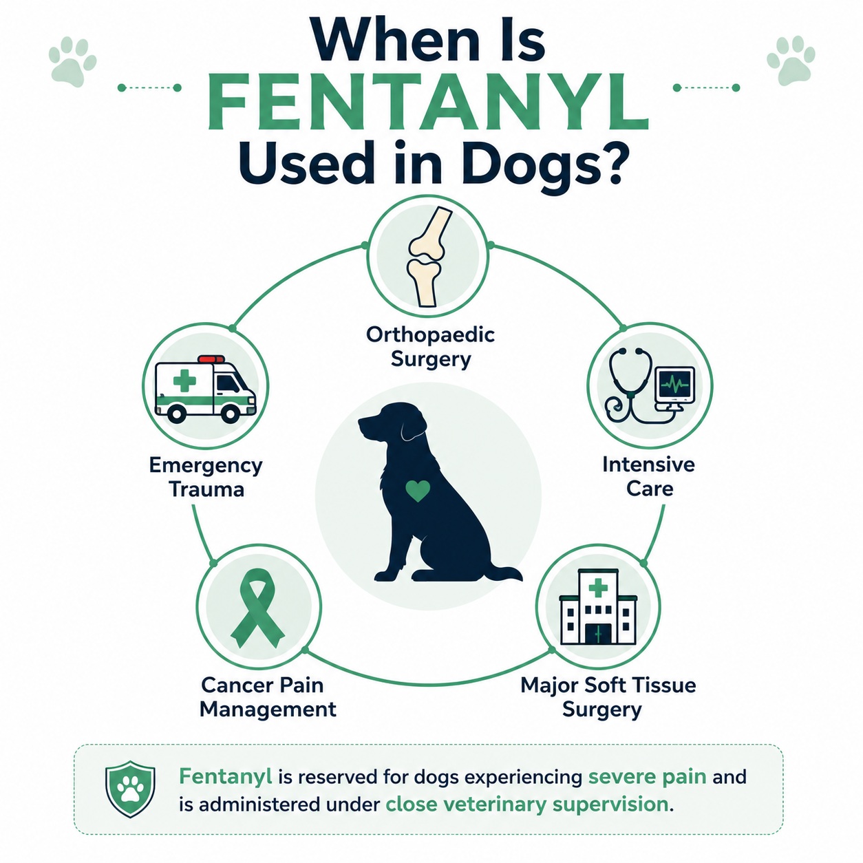 use of fentanyl for dogs