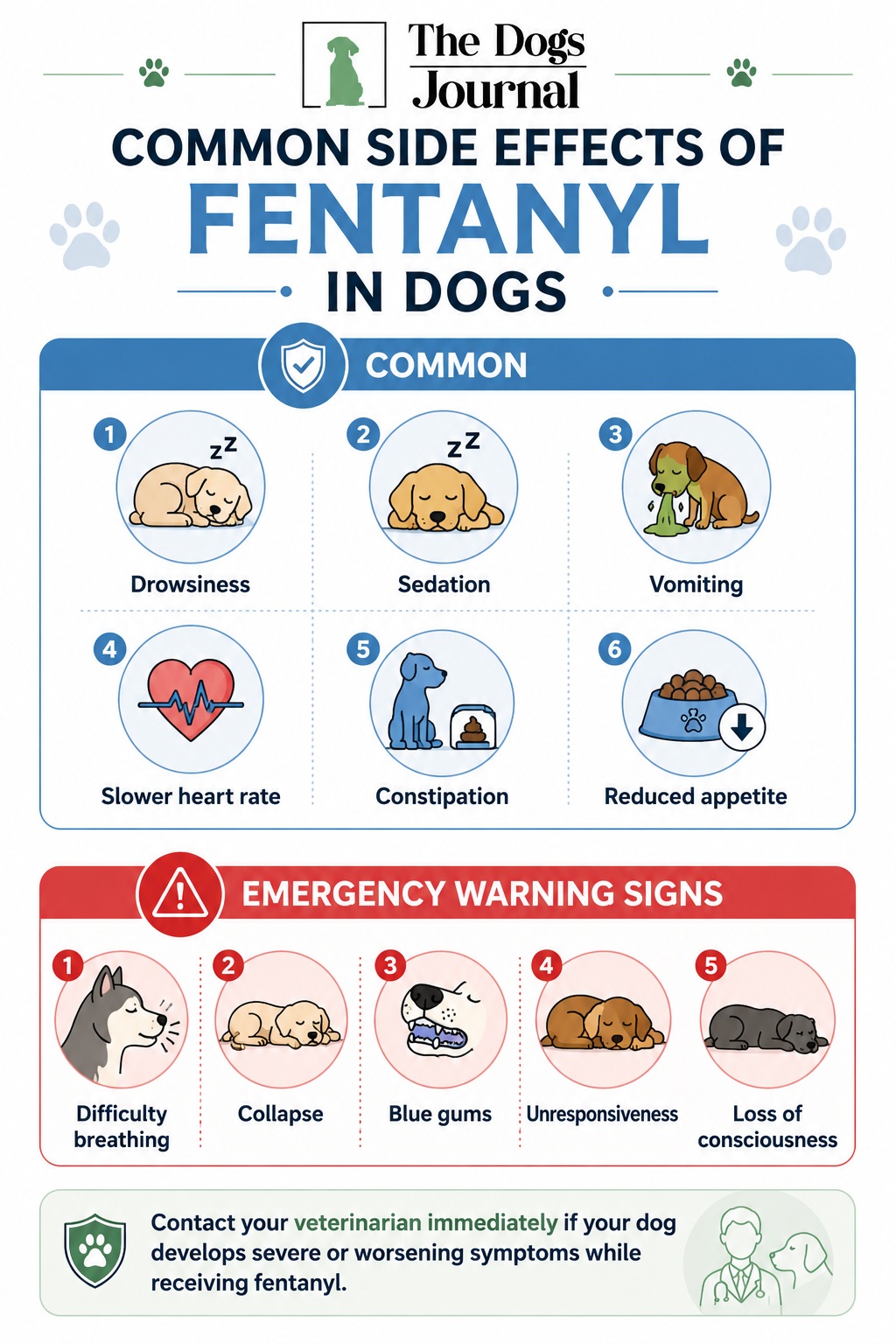 side effects of fentanyl in dogs