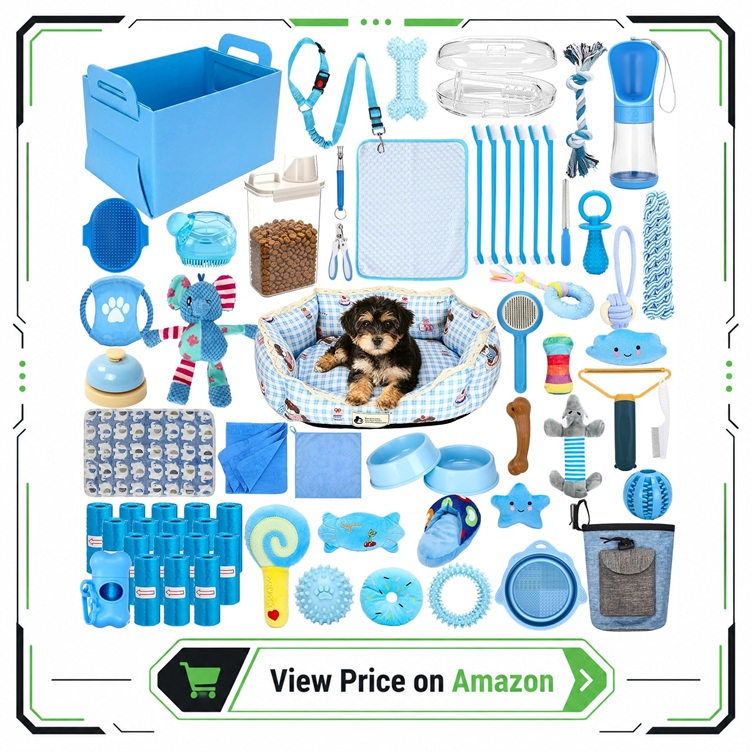 puppy starter pack for cavapoo