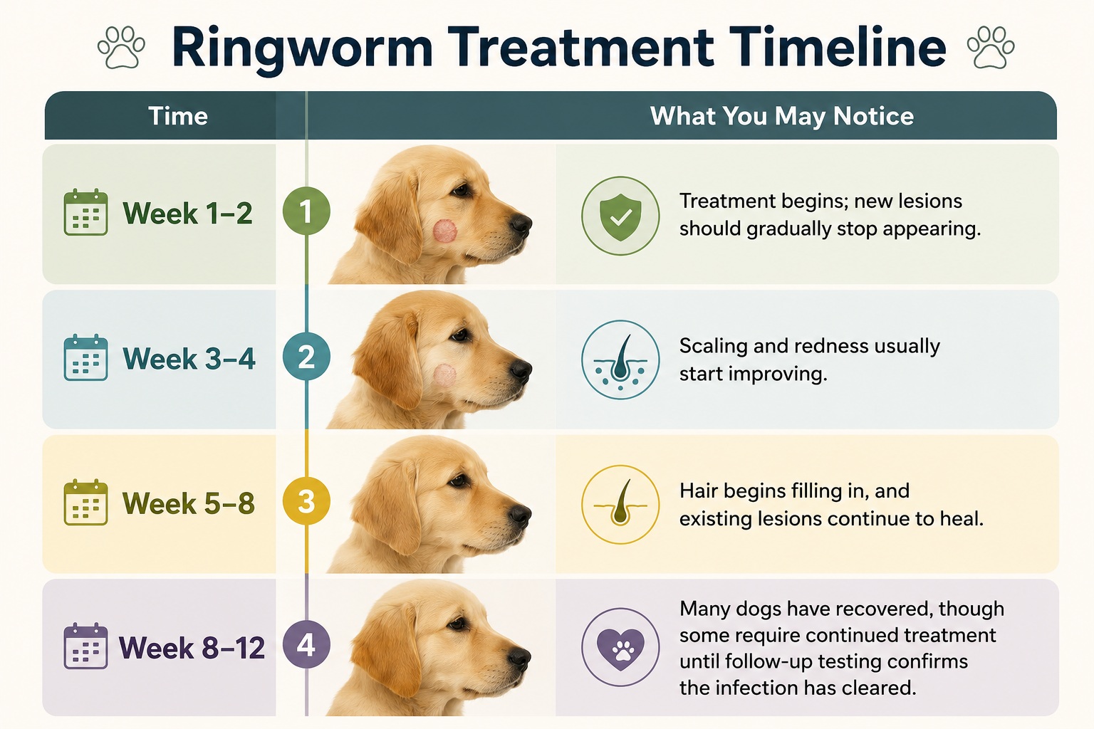 ringworm treatment timeline