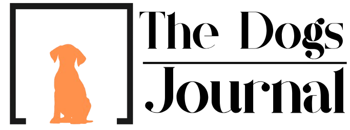 TDJ logo